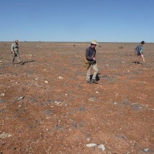 DFN team searching for meteorites