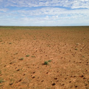 Good meteorite searching ground - the outback