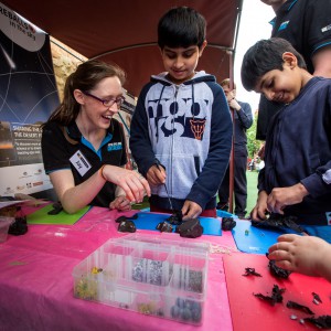 Jay at Fremantle Earth Science Day dissecting meteorites