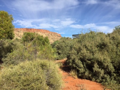MacDonnell Ranges behind Alice Springs Desert Park