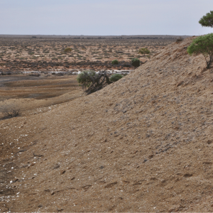 Australia's Nullarbor: good meteorite searching terrain